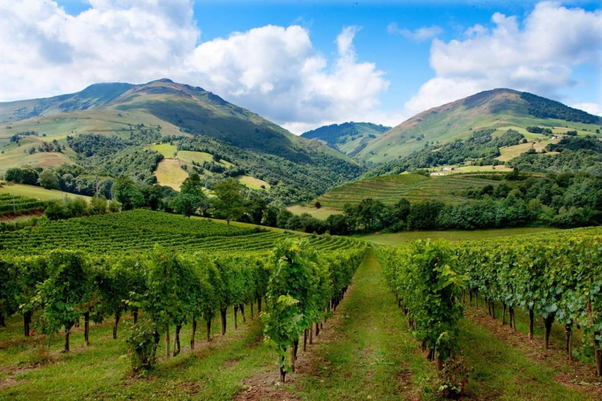 Auberge Ostape - Hotel Photo 22