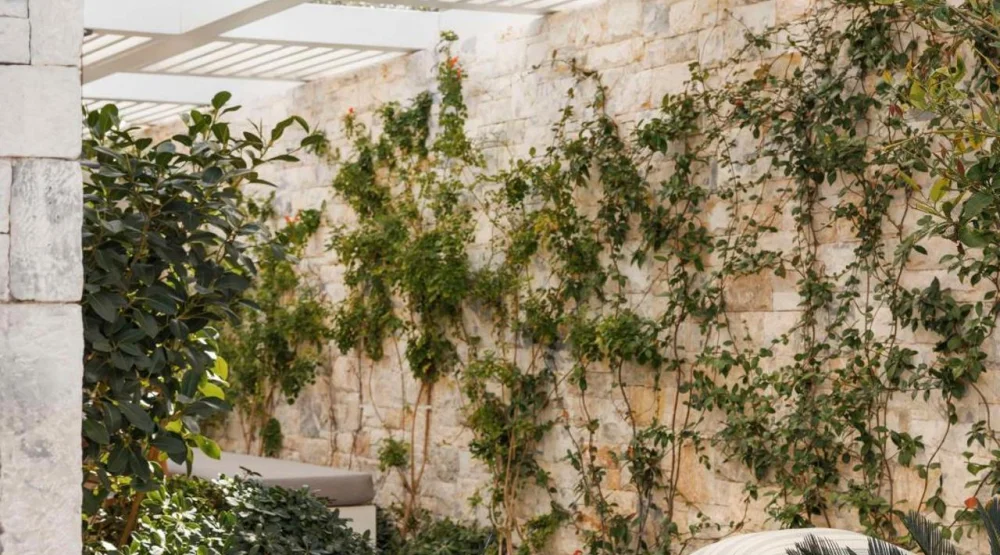 Villa Gaia with Private Pool at One&Only Aesthesis