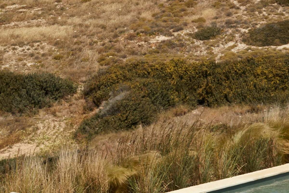 The Rooster - Hotel Photo 12