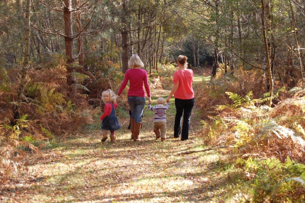 Ashdown Park Hotel & Country Club - Hotel Photo 11