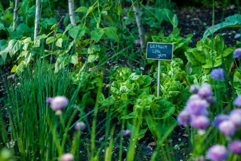 Summer Lodge Country House - Hotel Photo 14