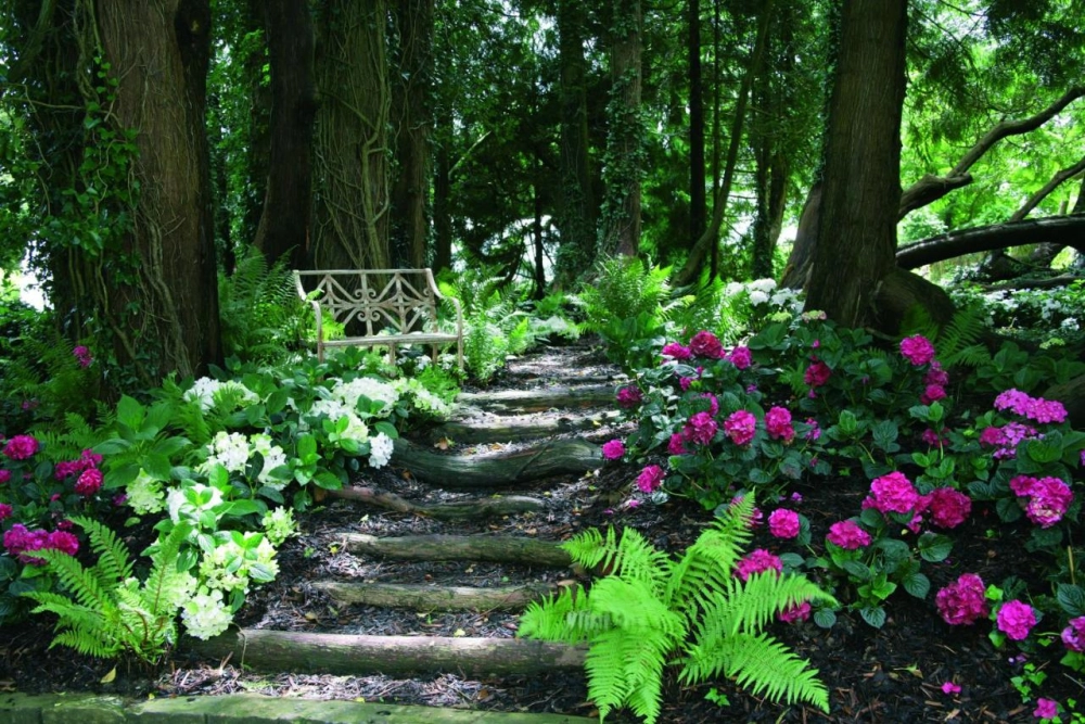 Summer Lodge Country House - Hotel Photo 44