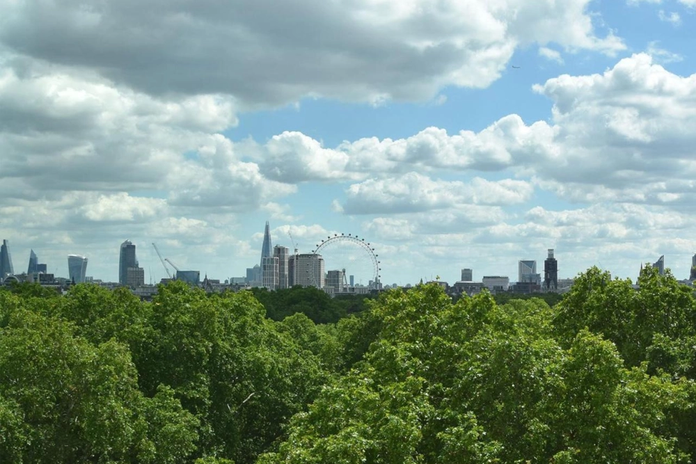 The Athenaeum Hotel & Residences - Hotel Photo 28