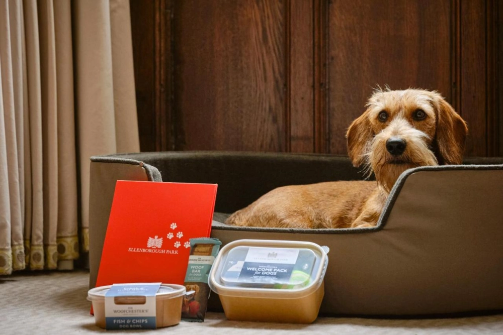 Ellenborough Park - Hotel Photo 44