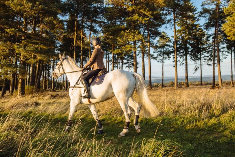 The Gleneagles Hotel - Hotel Photo 12
