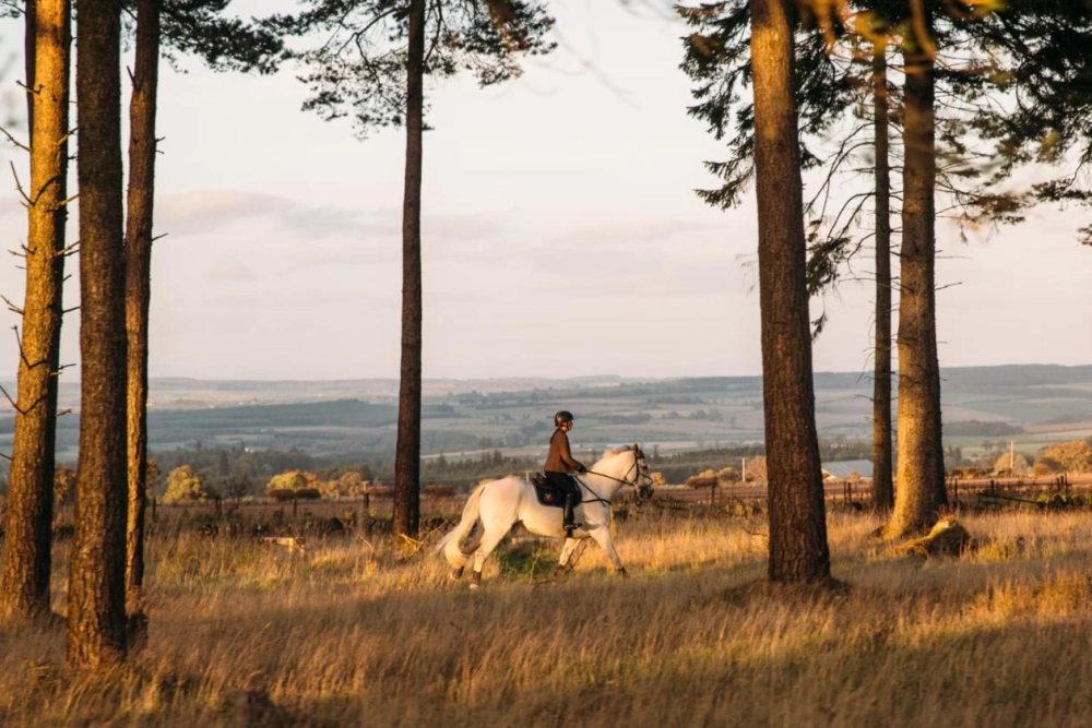 The Gleneagles Hotel - Hotel Photo 24