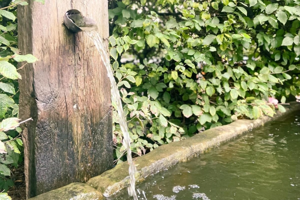 Horsley Lodge - Hotel Photo 31