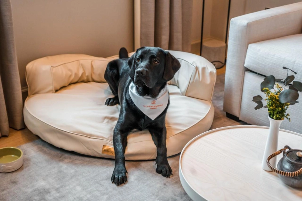 The Prince Akatoki London - Hotel Photo 21