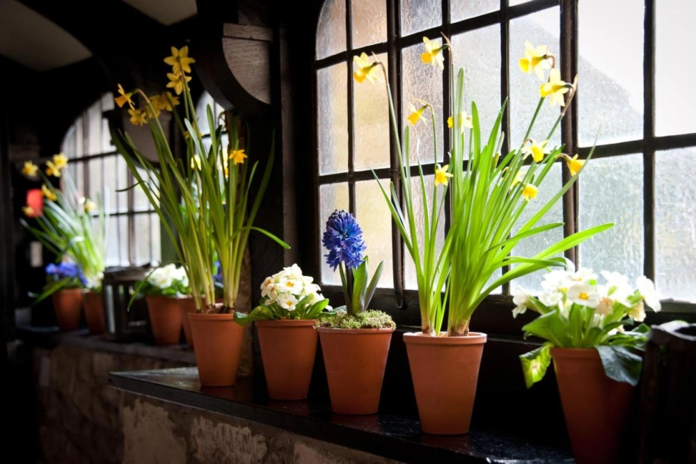 Amberley Castle - Hotel Photo 45