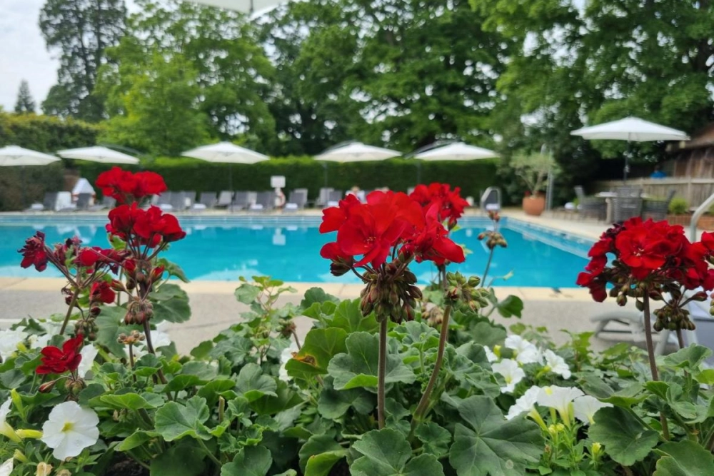 Great Fosters - Hotel Photo 10