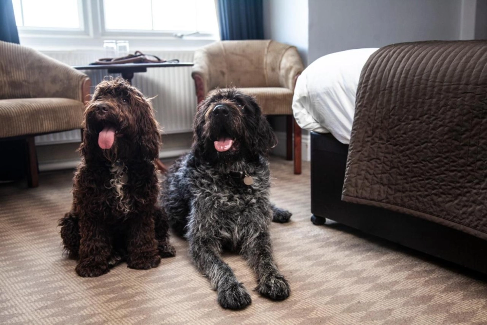 Balmer Lawn Hotel & Spa - Hotel Photo 17