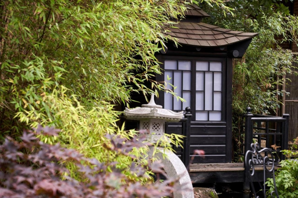 Careys Manor Hotel & SenSpa - Hotel Photo 34