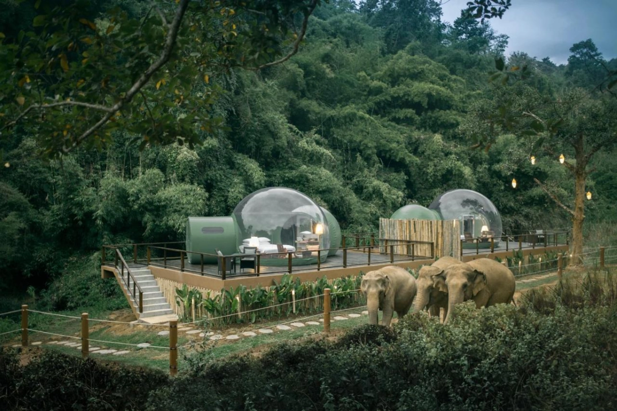 Anantara Golden Triangle Elephant Camp & Resort - Hotel Photo 14