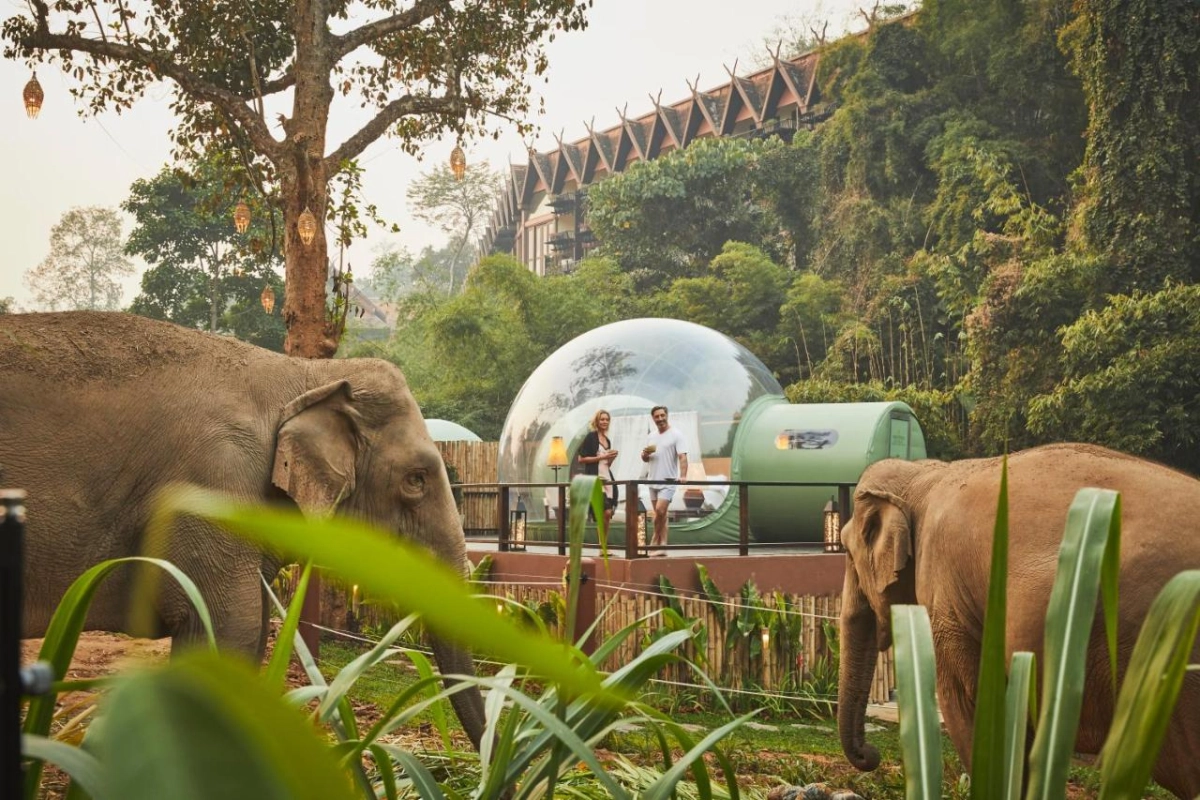 Anantara Golden Triangle Elephant Camp & Resort - Hotel Photo 75