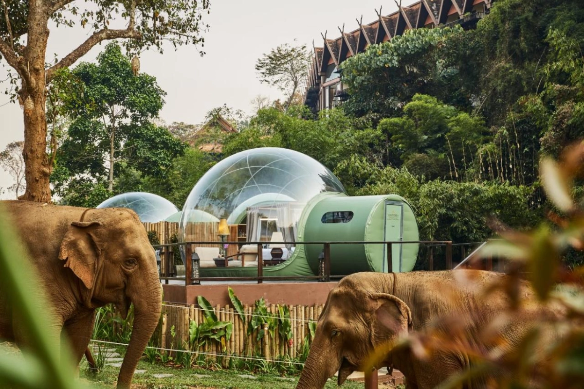 Anantara Golden Triangle Elephant Camp & Resort - Hotel Photo 78