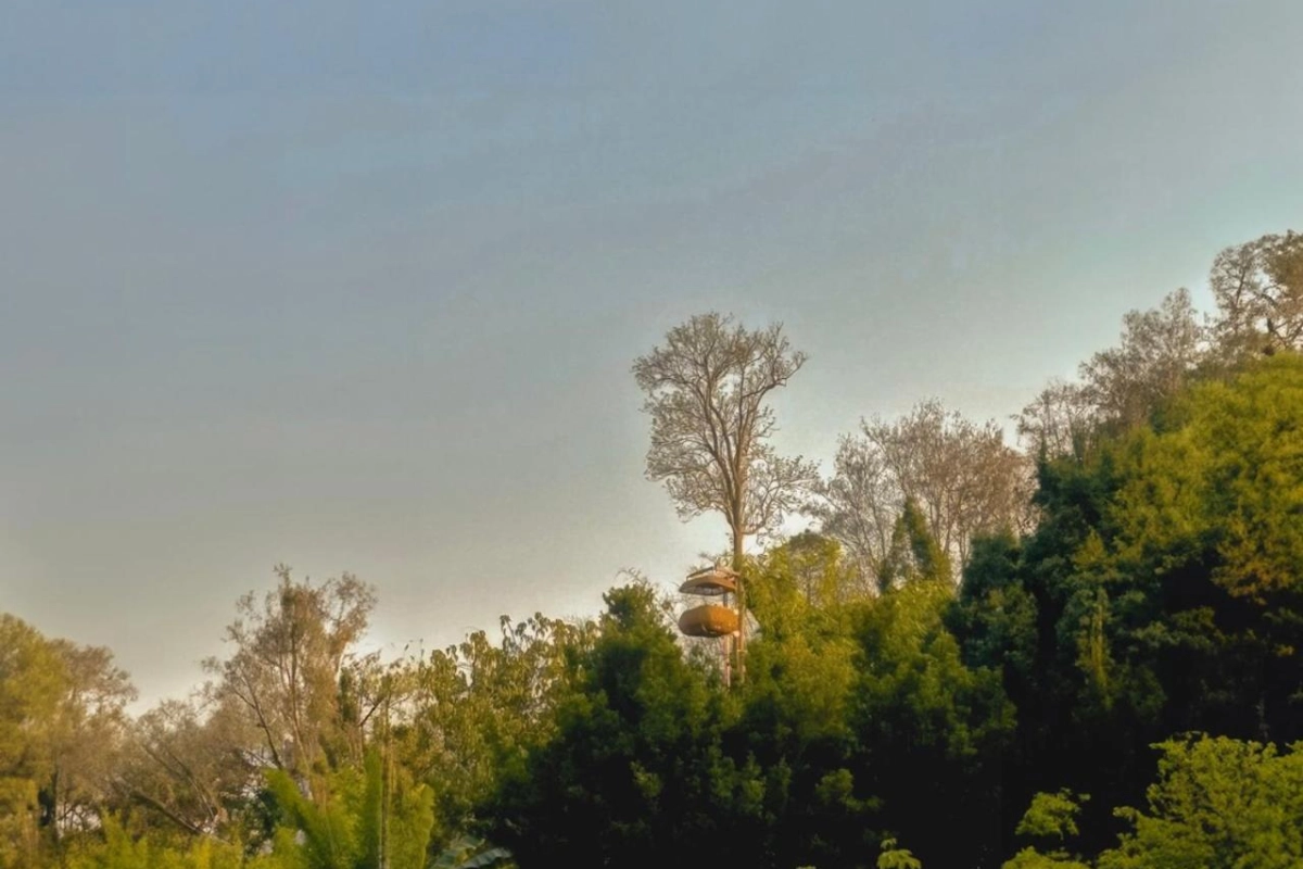 Anantara Golden Triangle Elephant Camp & Resort - Hotel Photo 80