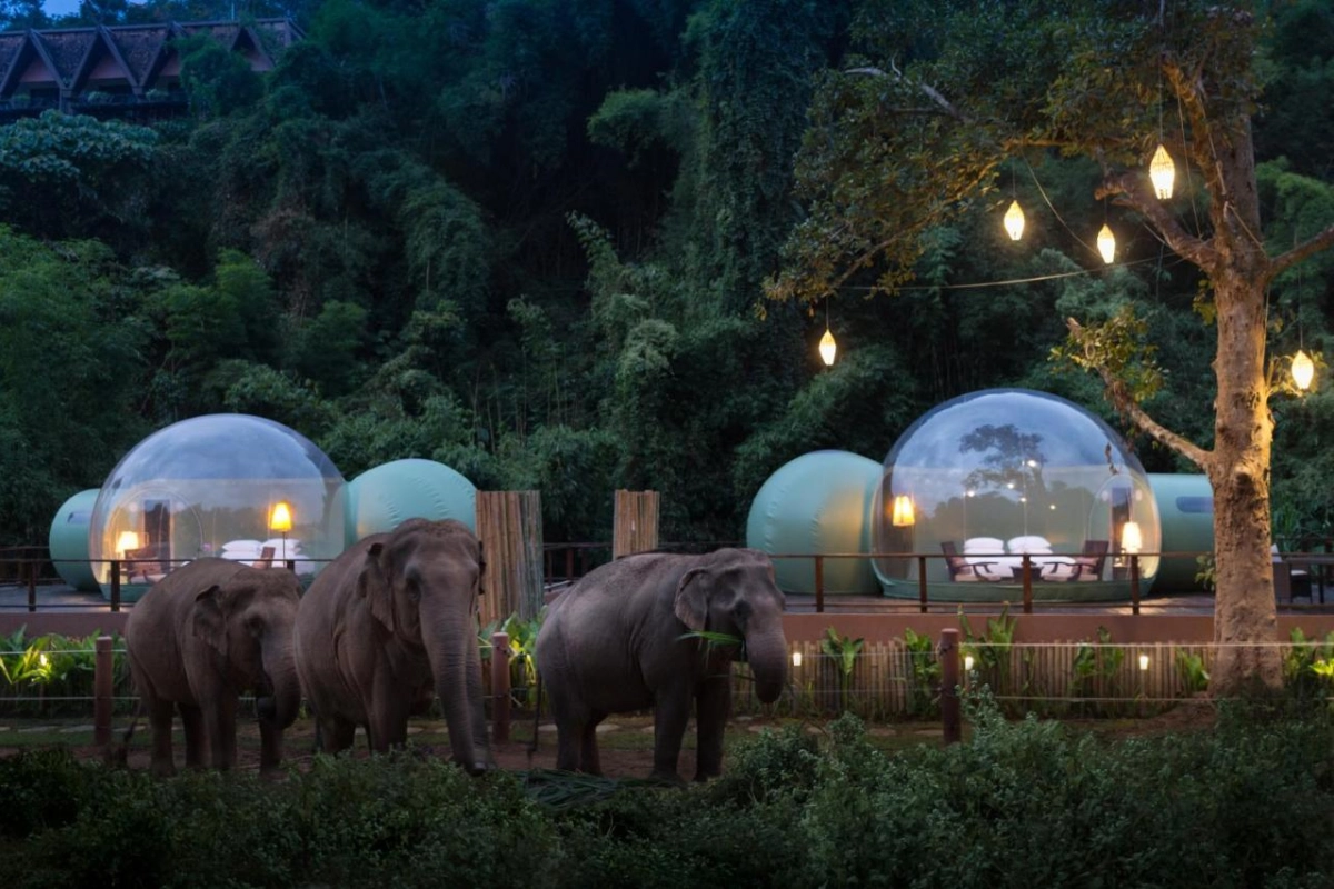 Anantara Golden Triangle Elephant Camp & Resort - Hotel Photo 94