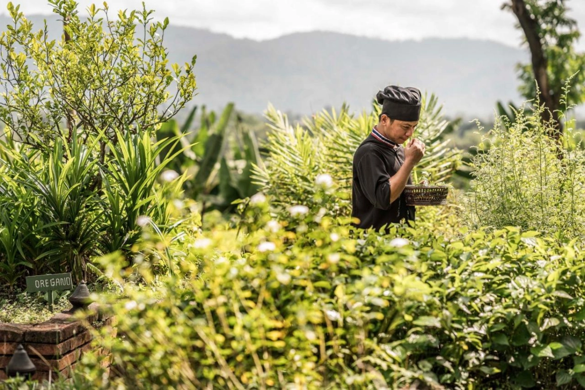 Anantara Golden Triangle Elephant Camp & Resort - Hotel Photo 110