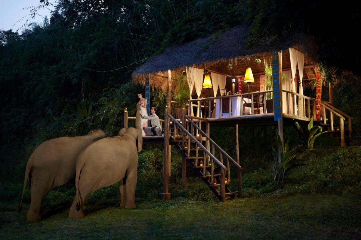 Anantara Golden Triangle Elephant Camp & Resort - Hotel Photo 120