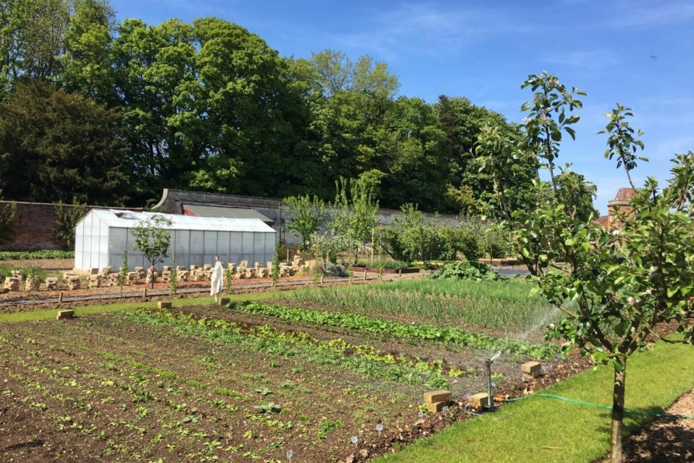 Oakley Hall Hotel - Hotel Photo 32