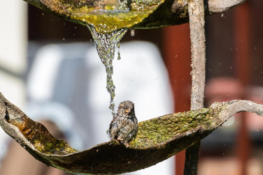 The Montagu Arms Hotel - Hotel Photo 10