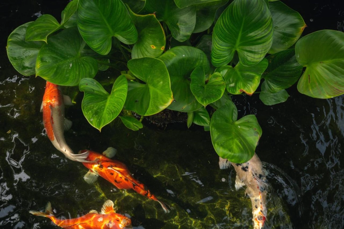 Buri Rasa Village Samui - Hotel Photo 79