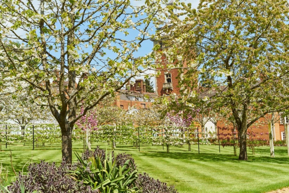 Tylney Hall Hotel - Hotel Photo 21
