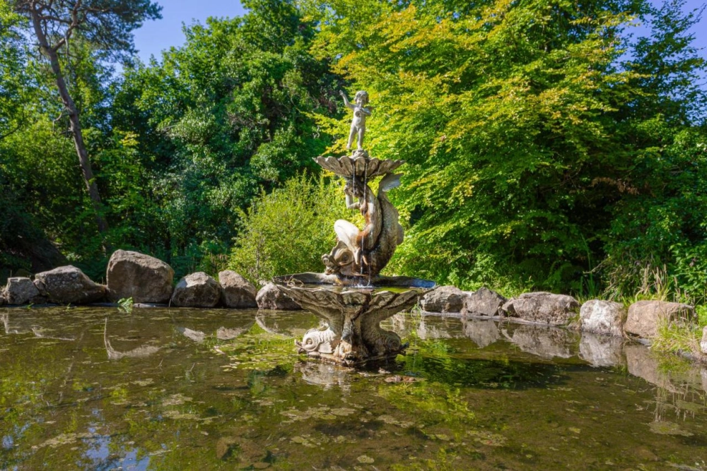 The Moorland Hotel Haytor - Hotel Photo 6