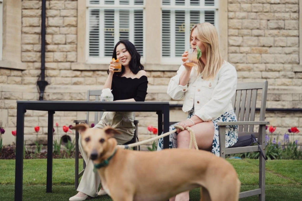 The Roseate Villa Bath - Hotel Photo 22