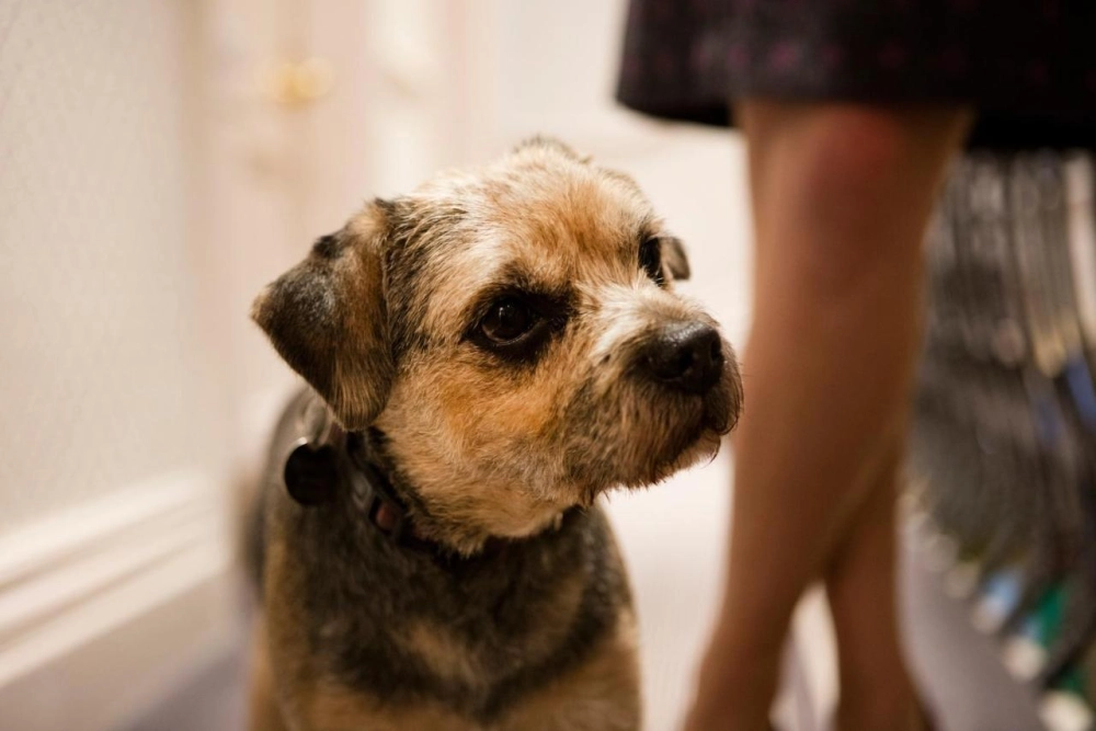 The Roseate Villa Bath - Hotel Photo 23