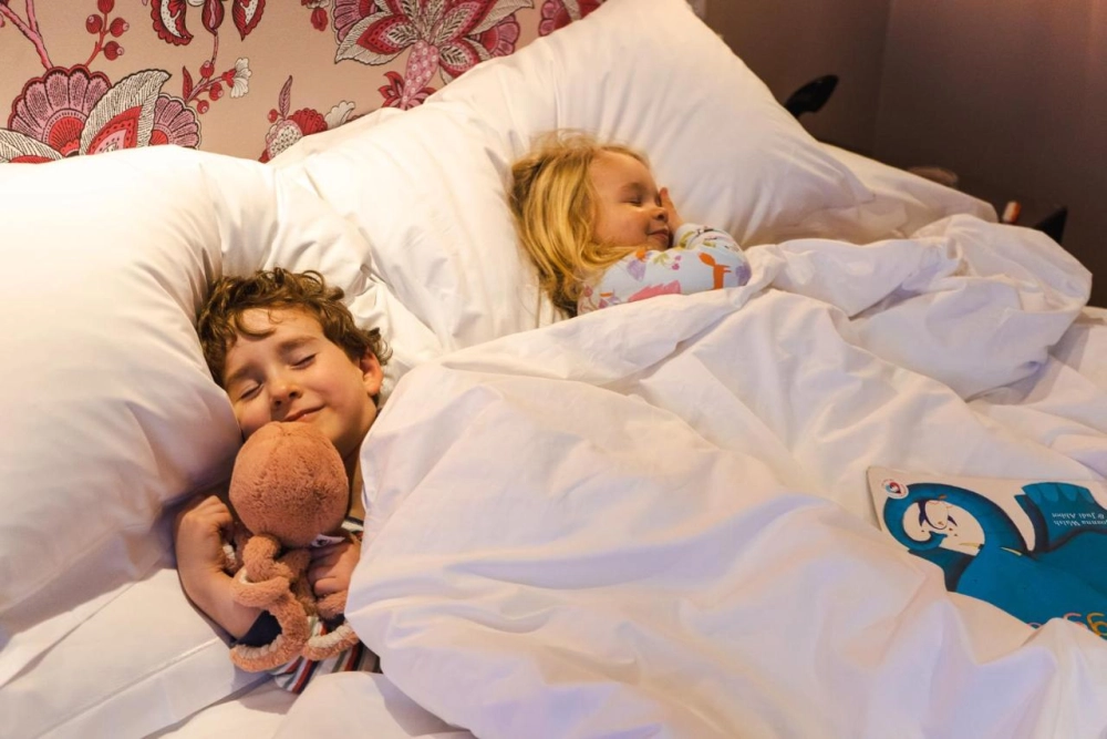 The Bird Bath - Hotel Photo 11