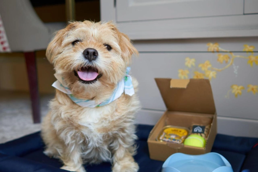 The Bird Bath - Hotel Photo 26