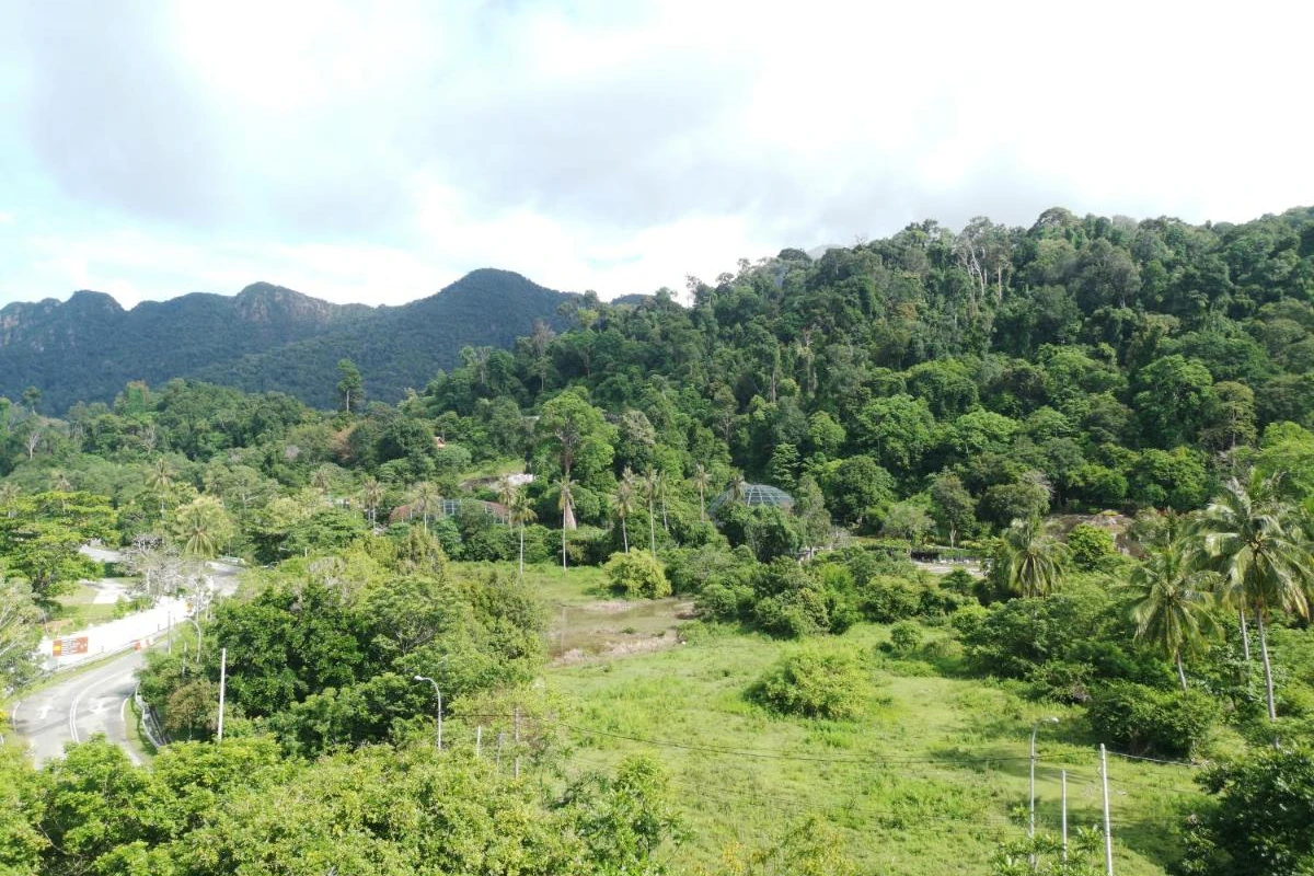 The Danna Langkawi - Hotel Photo 30