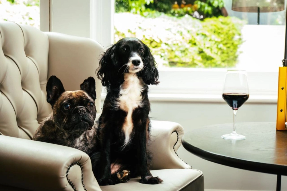 Taplow House Hotel & Spa - Hotel Photo 8