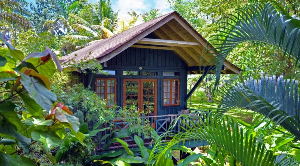 Treetop Standard at Sunset At The Palms